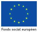 FSE ( Fonds Social Europen )