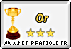 net-pratique.fr. "award d'or"